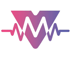 MetaVoice